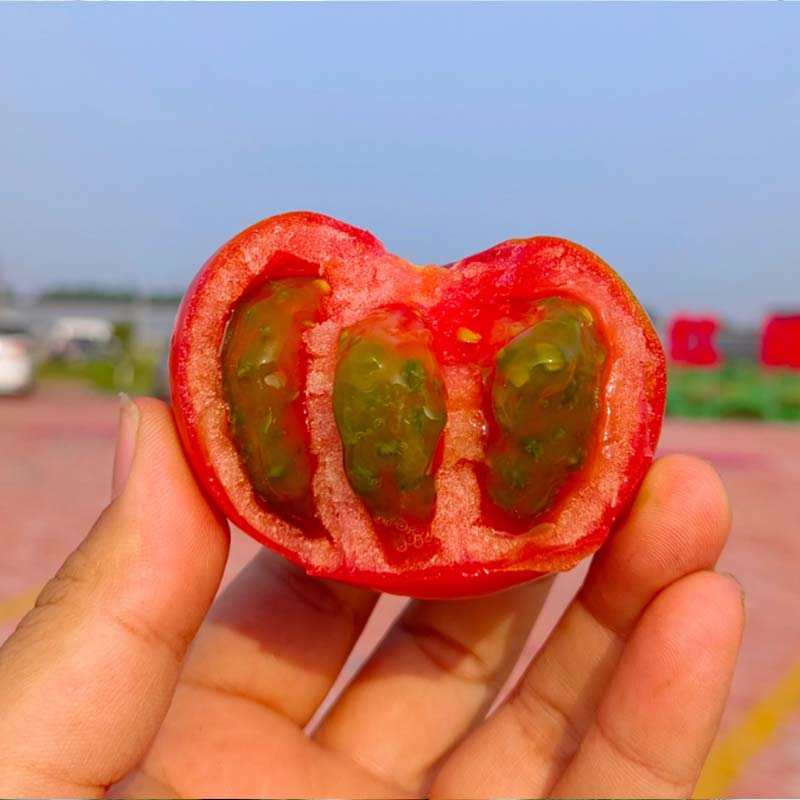 qyѻ